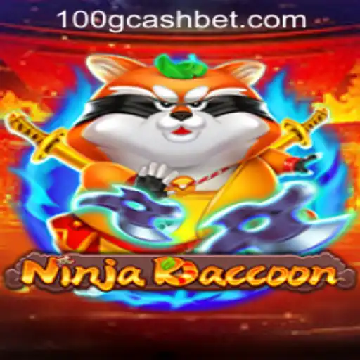 NinjaRaccoon: The Thrilling Adventure Awaits